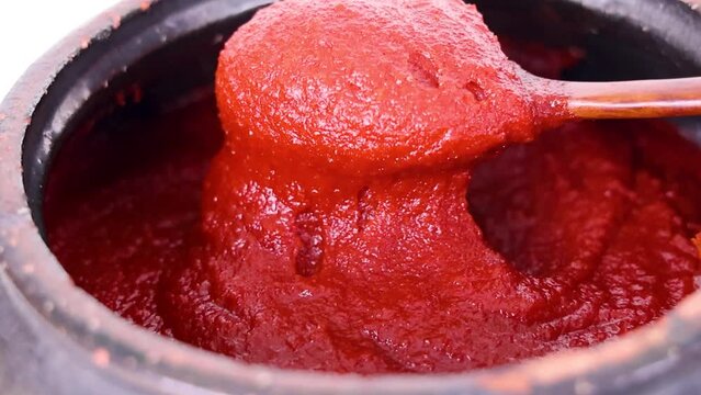 A spoonful of red pepper paste in a jar