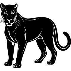 Black panther silhouette isolated on white background