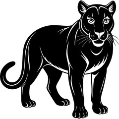 Black panther silhouette isolated on white background