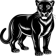 Black panther silhouette isolated on white background