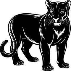 Black panther silhouette isolated on white background