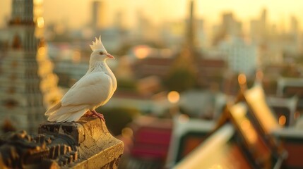 Naklejka premium A white bird with a crest perches on a temple roof, overlooking a cityscape at sunset, creating a serene and golden scene.