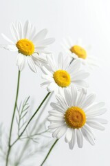 Obraz premium A close-up view of a bouquet of fresh flowers arranged in a decorative vase