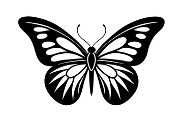  butterfly ,vector , silhouette , illustration .