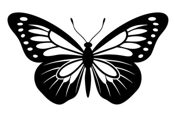  butterfly ,vector , silhouette , illustration .