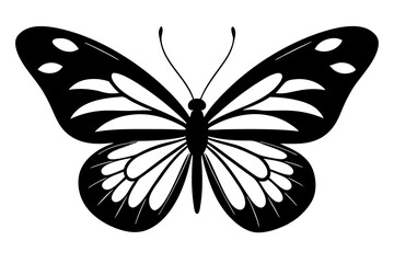  butterfly ,vector , silhouette , illustration .
