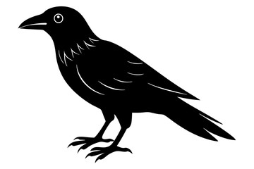 crow ,vector , silhouette , illustration .