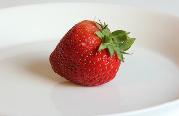 One strawberry on white plate