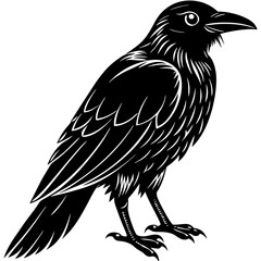 Fototapeta premium Spooky silhouette of Halloween Crow - vector illustration