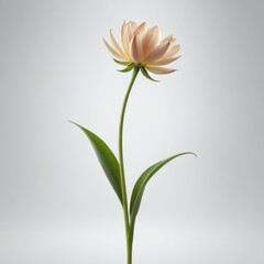 A minimalist image of a single, tall flower stem rising from the bottom of the frame, with a vast, empty background, showcasing the simplicity and elegance of nature.
