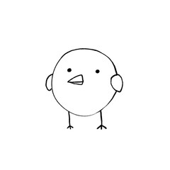 Baby chick