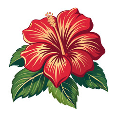 red hibiscus flower