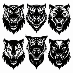 Fototapeta premium set of black and white tiger