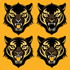 set of vector