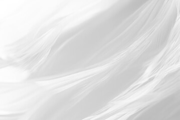 Crisp White Feather Wool Texture Pattern - Elegant Background Design