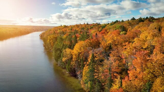 Aerial of maple trees turning their beautiful fall colors along a river in Michigan.