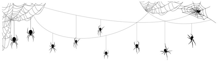 Hanging spider silhouette illustration  background holloween day