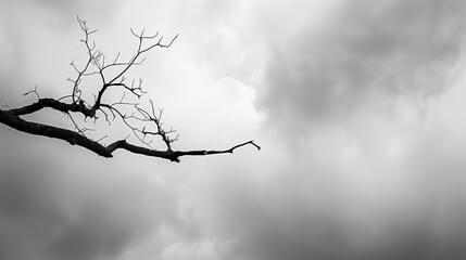 Obraz premium An artistic black and white image of a tree branch against a cloudy sky. The stark contrast and simplicity of the composition evoke a sense of solitude and contemplation.