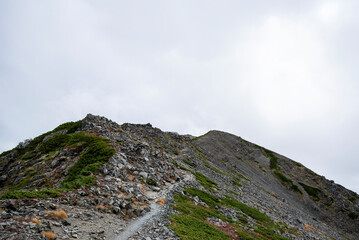 中白根山へ続く登山道　山梨県南アルプス市