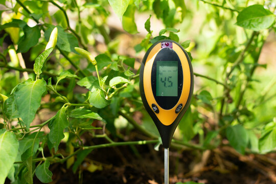 Using a soil pH measuring device