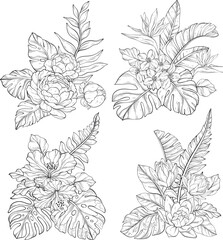 set of outline bouquets, floral elements isolated on white background
