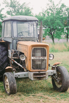Tradycyjne rolnictwo, stary traktor, ciągnik Ursus. Czerwiec 2024, Potok Czarny, Mazowieckie
