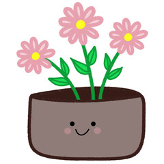 flower in a pot
