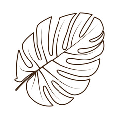 Botanical tropical palm wide leaves branches hand drawn line for modern design decoration. Flat doodle style. Vector illustration.