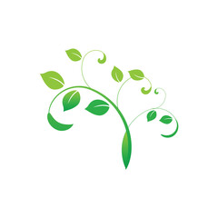 unique vector design of green leaf stalks