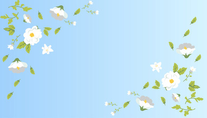 Background design with jasmine flower