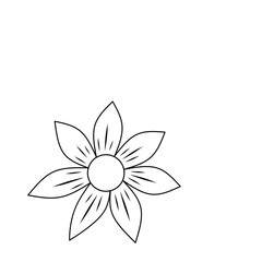 flower sketch