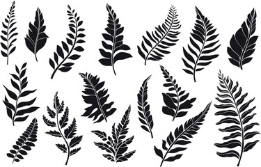 set of silhouette of wild forest plants, leaves and young ferns. Vector illustration