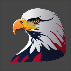 Obraz premium independence day