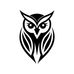 owl on white background