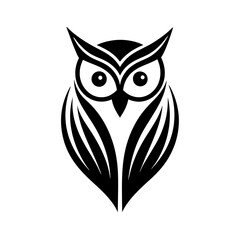 owl on white background