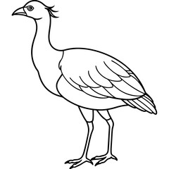 illustration of a bird