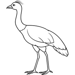 illustration of a cartoon bird