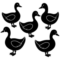 set of ducks