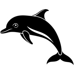 dolphin isolated on white background