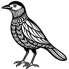 illustration of a bird