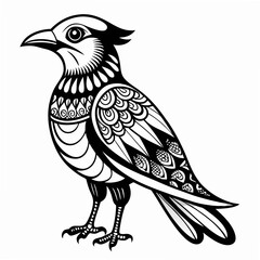 illustration of a bird