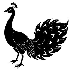 black and white peacock vector