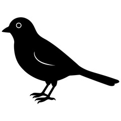 illustration of a bird