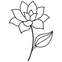 black and white flower