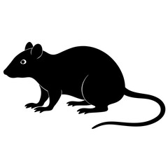 rat on a white background