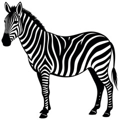 Obraz premium zebra silhouette vector illustration Design on a white background
