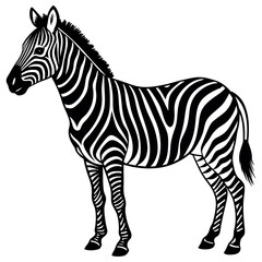 Fototapeta premium zebra silhouette vector illustration Design on a white background