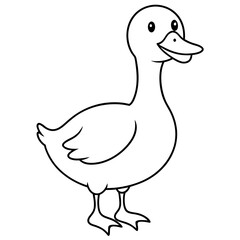 duck isolated on white