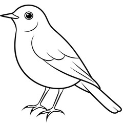 illustration of a bird