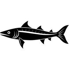 fish isolated on white